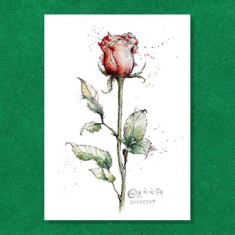 Rose 01