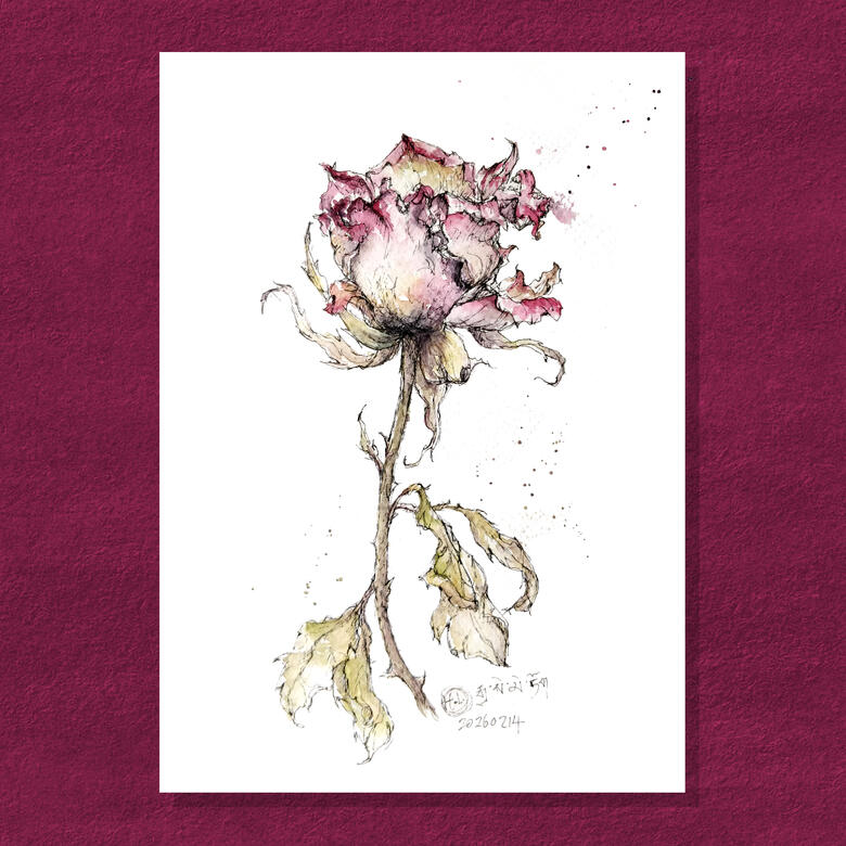 Rose 04