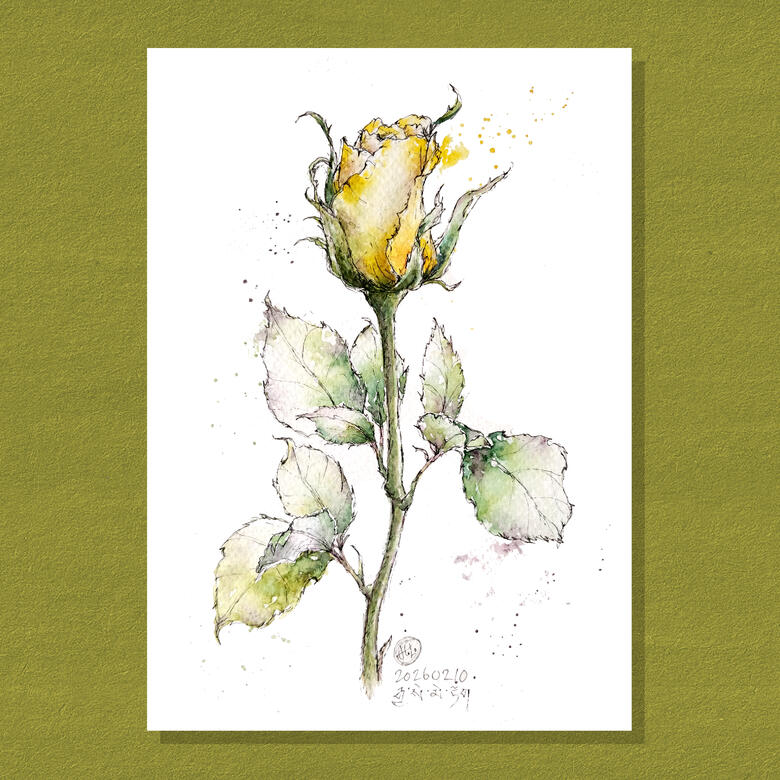 Rose 02