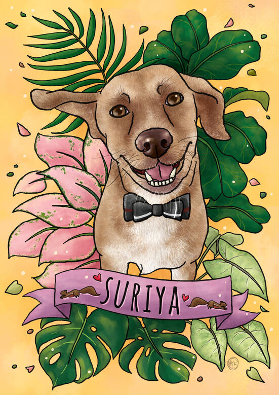 "Suriya"